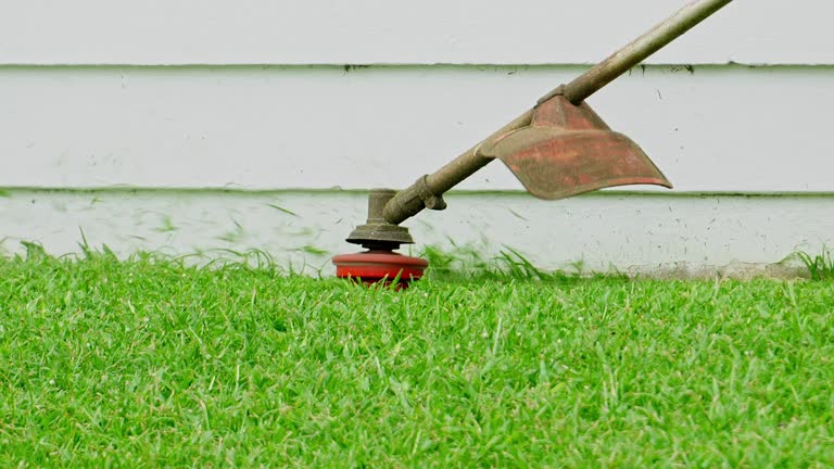 Best Sod Installation  in Waller, TX